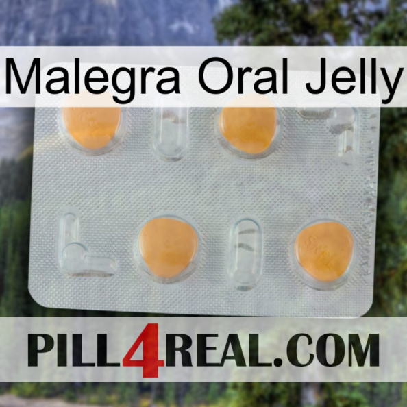 Malegra Oral Jelly 24.jpg